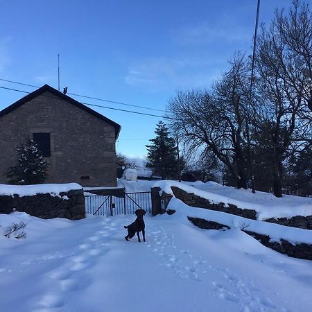 Mountain House/ Serra Da Estrela Penhas da Saúde Eksteriør bilde